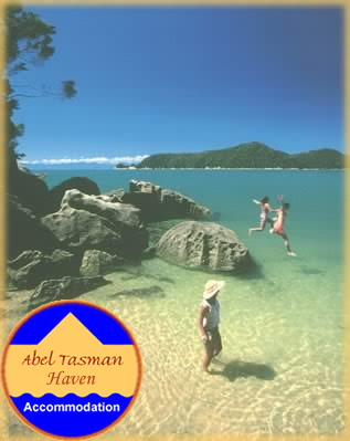 Abel Tasman National Park - just one of many magical places to spend the day
